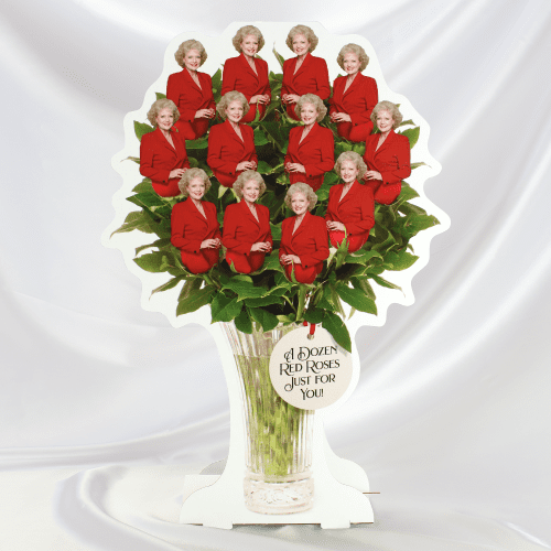 DozenRoses Bouquet Full Plain