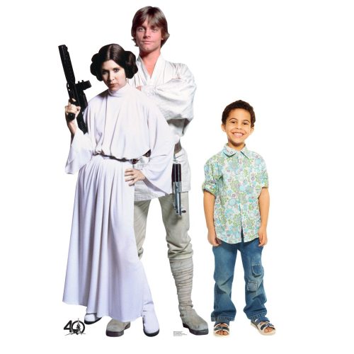 luke and leia star wars cardboard cutoutcardboard cutoutsprime party 970126