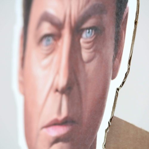 mccoy life size cardboard cutout star trekcardboard cutoutsprime party 554177